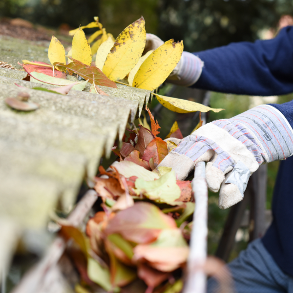 Residential Roofing Service showing cleaning out gutters.